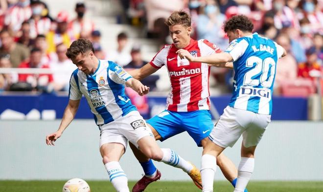 篮球这项年 篮球这项年