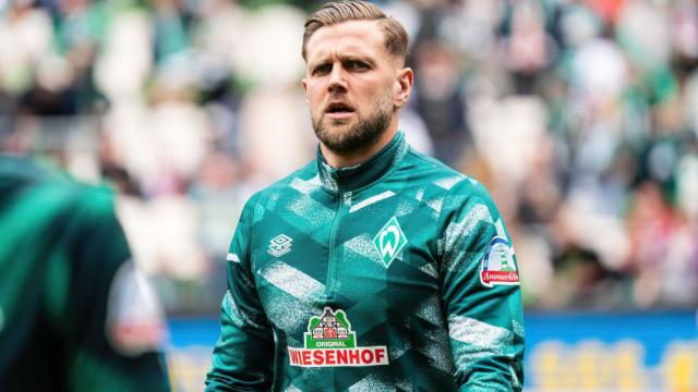 的适应能力 的适应能力