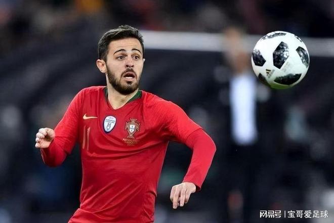 他们的阵容 他们的阵容